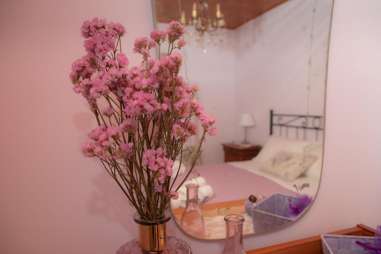 La Casa Del Gelsomino Apartment อักกวาวีวา ปิเชนา ภายนอก รูปภาพ